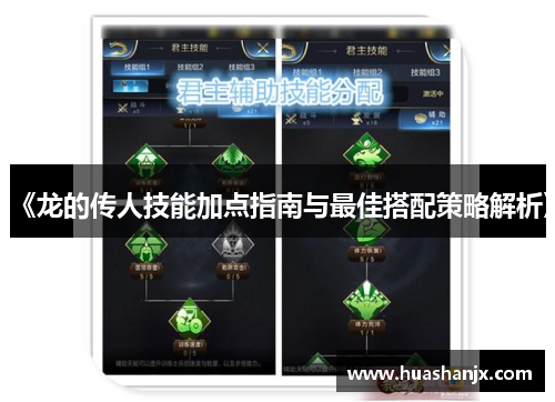 《龙的传人技能加点指南与最佳搭配策略解析》