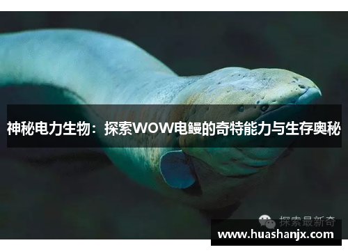 神秘电力生物：探索WOW电鳗的奇特能力与生存奥秘